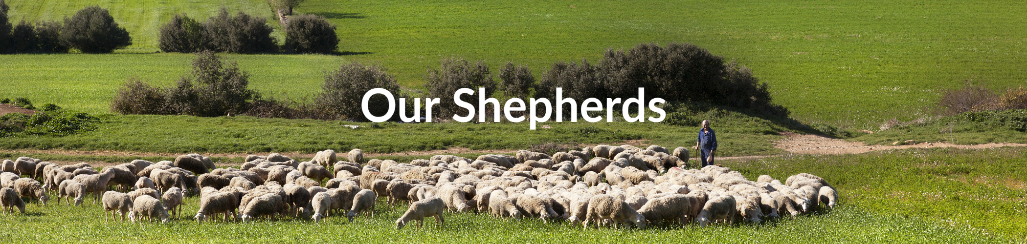 Our Shepherds and Elders